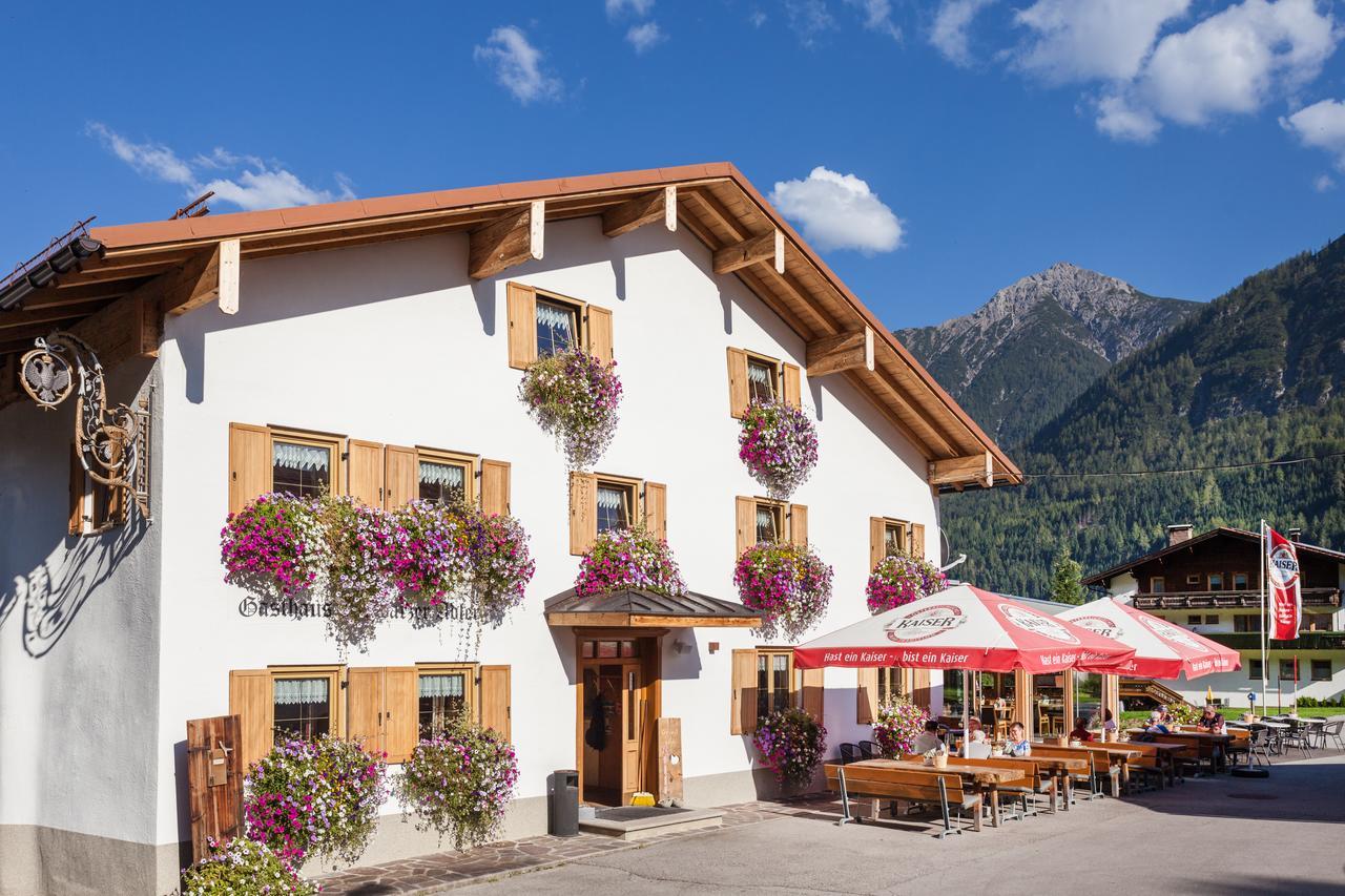 Schwarzer Adler Elbigenalp