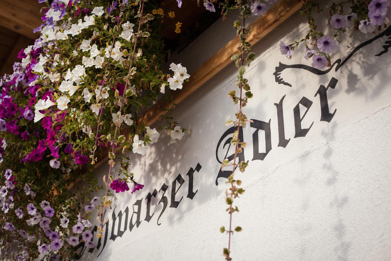 Schwarzer Adler