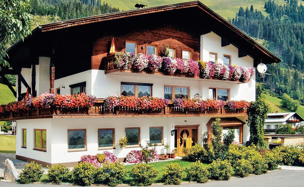 Schwarzer Adler